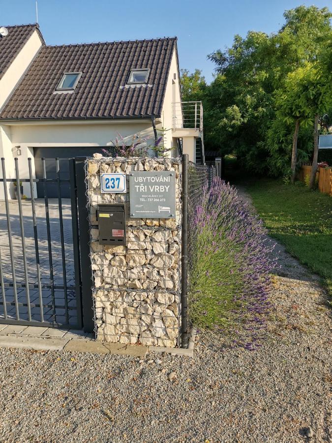 Ubytovani Tri Vrby Pasohlávky Exteriör bild